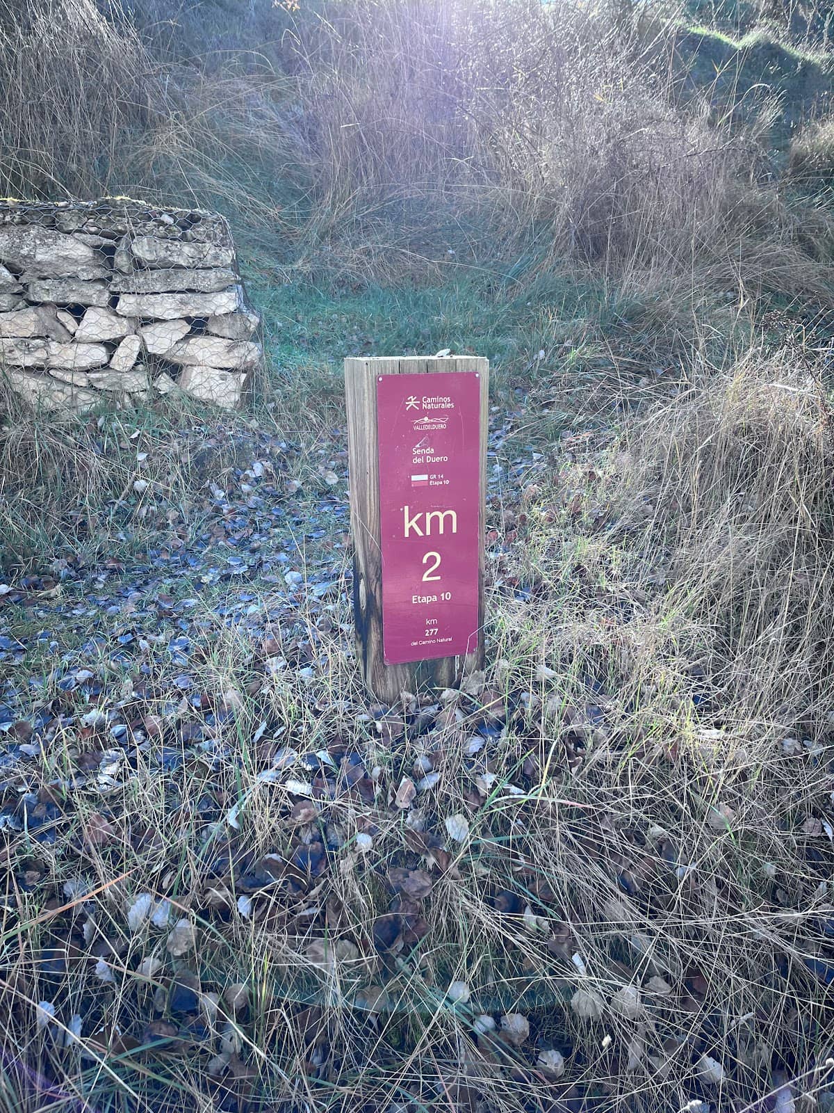Vertical photo