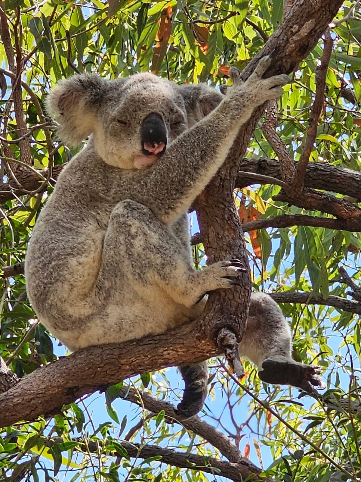 360-Degree Island Vistas