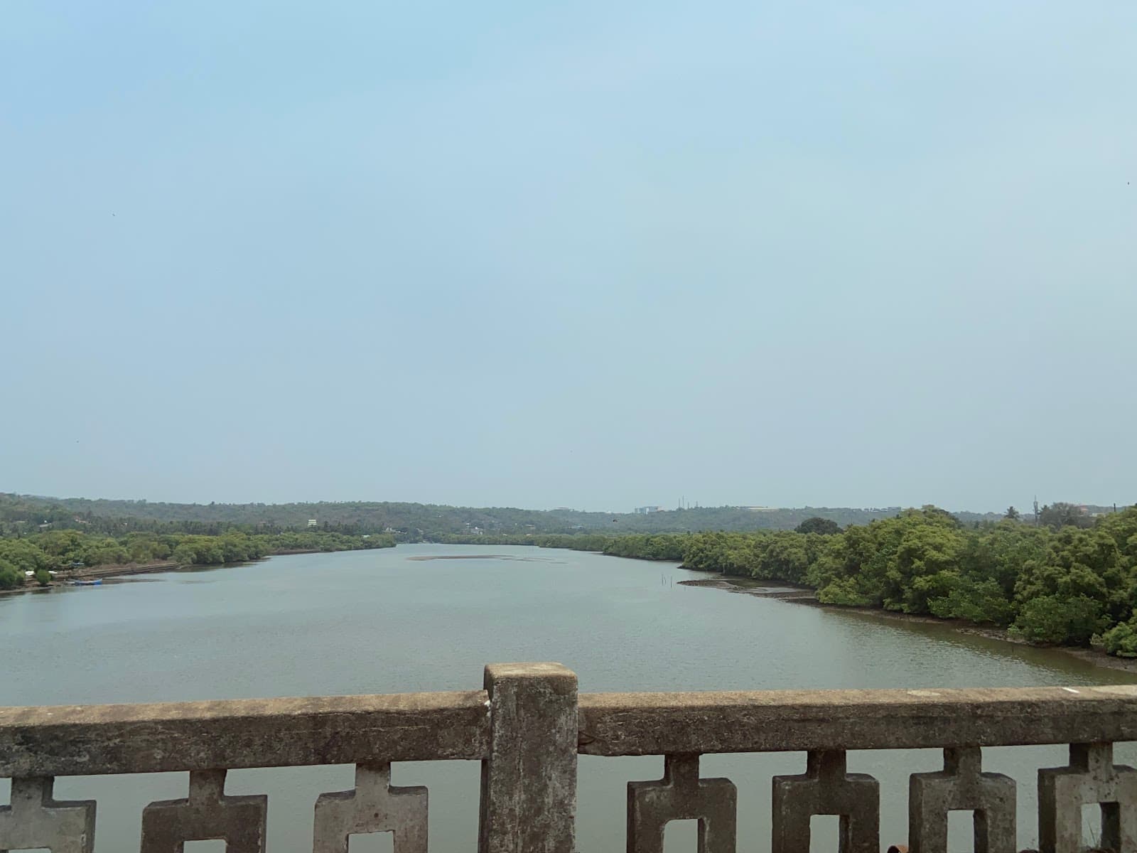 Nerul Backwaters Goa - Image 1