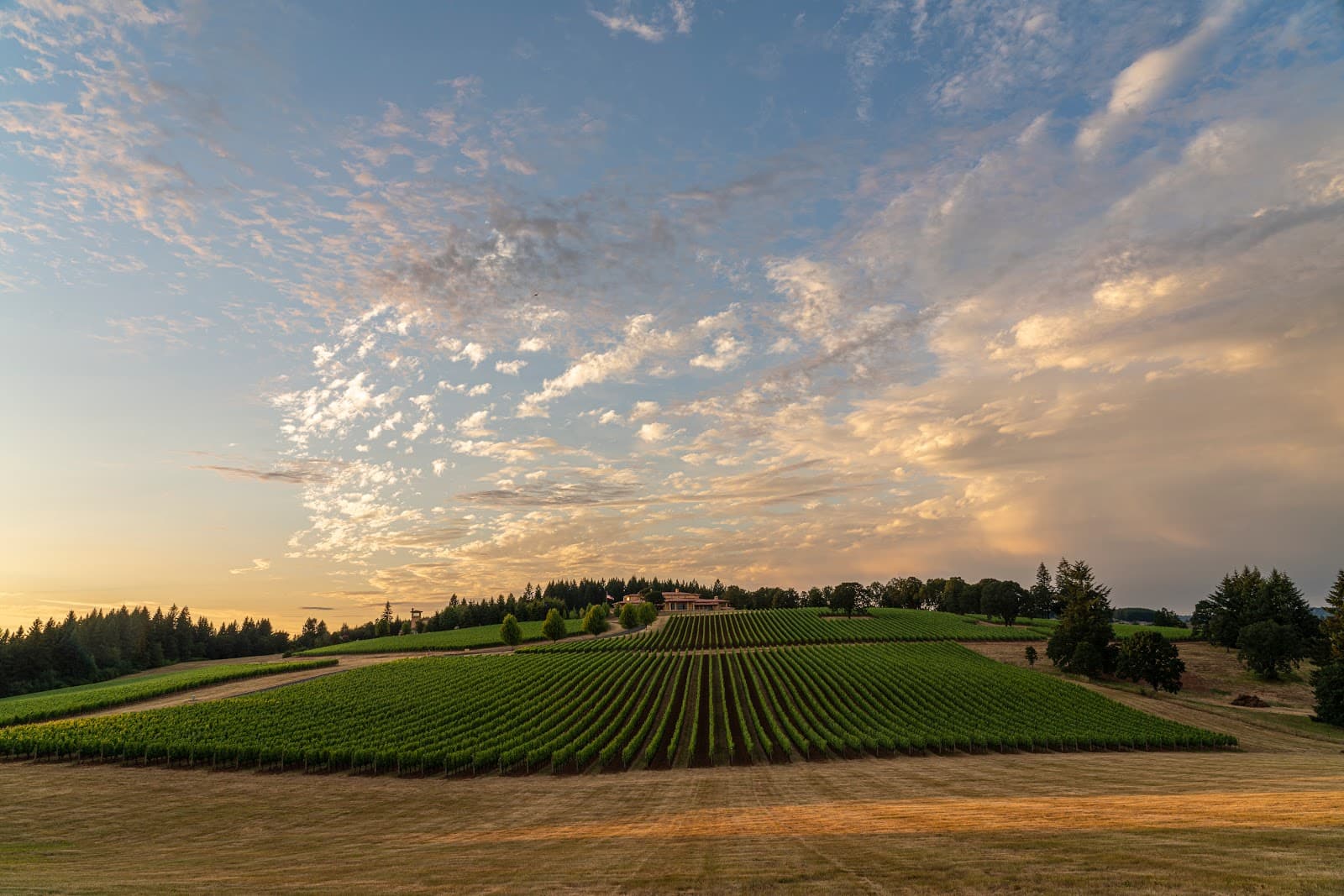Domaine Serene - Image 1