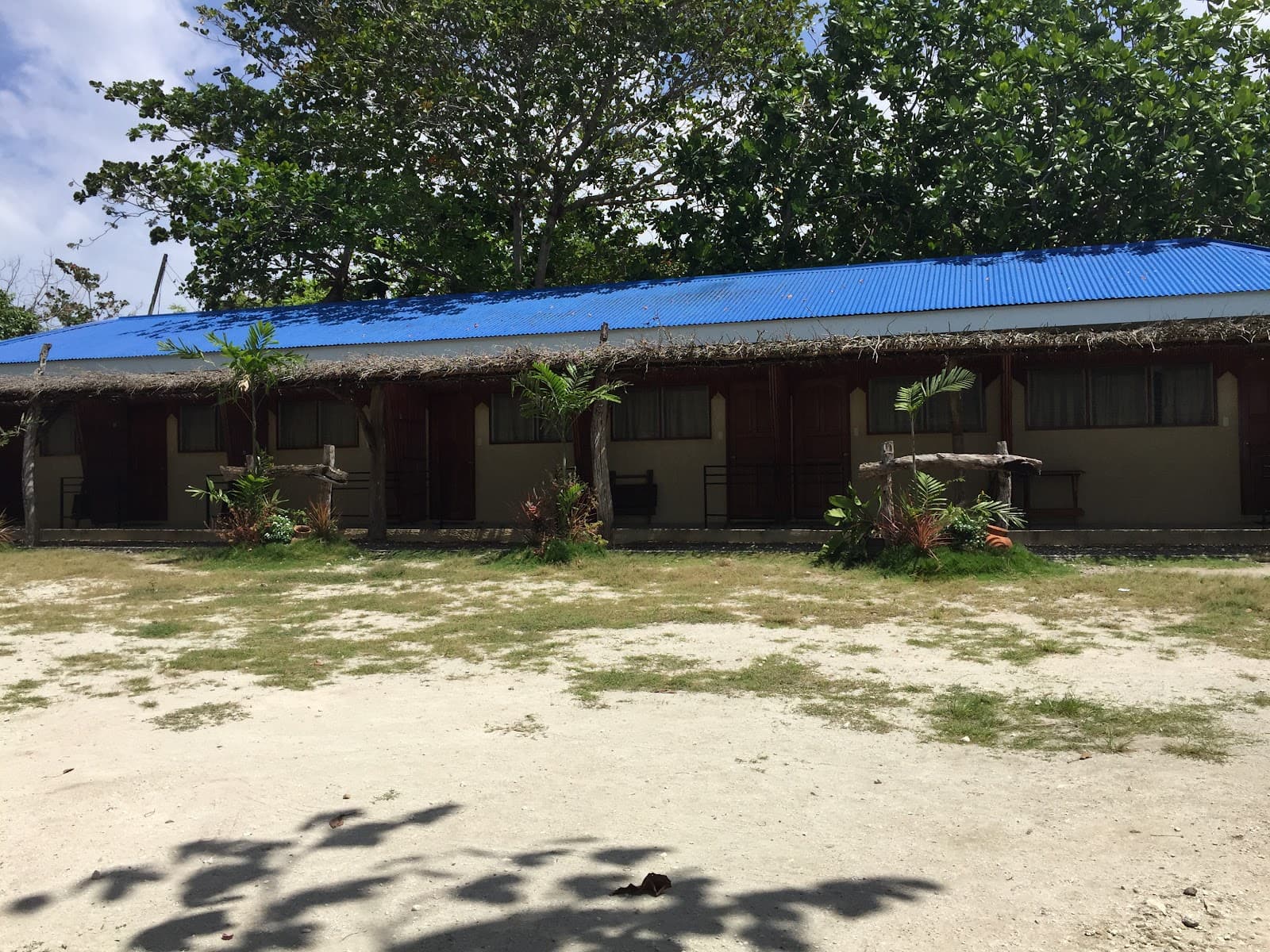 Coral Garden (Moalboal) - Image 1