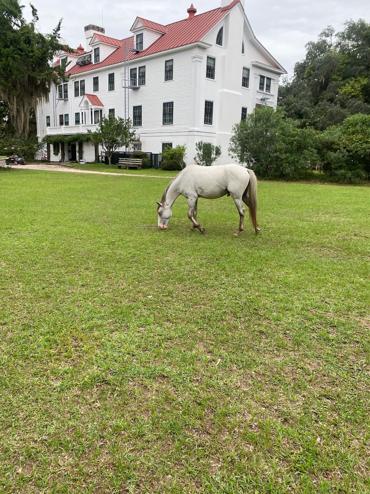 Greyfield Inn (Cumberland Island) - Image 1