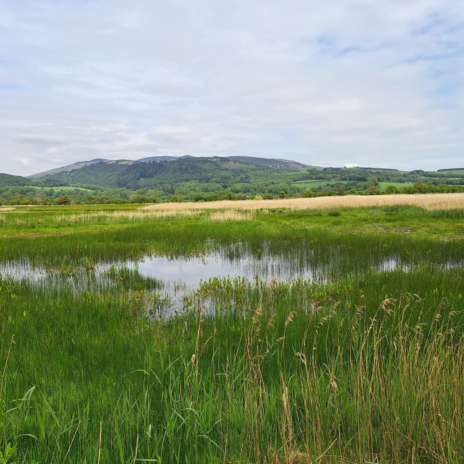 RSPB Mersehead - Image 1