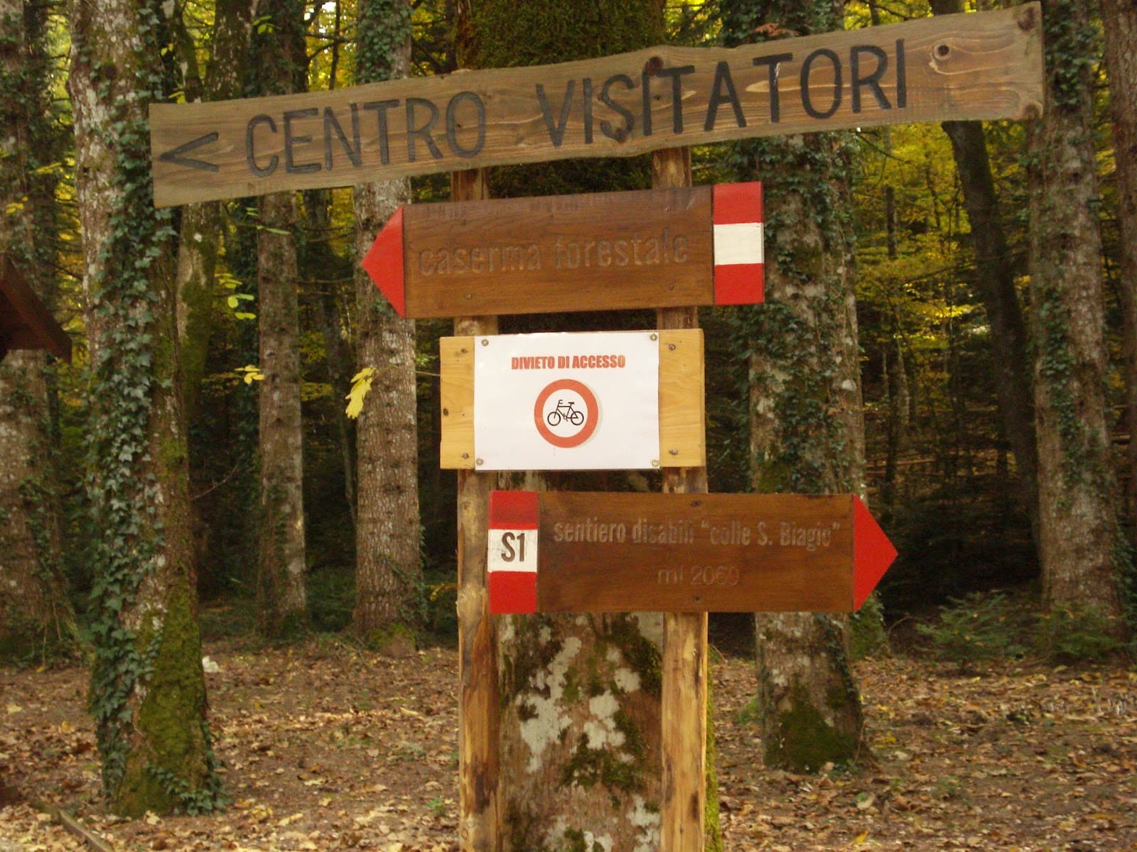 Montedimezzo Reserve (UNESCO MaB) - Image 1