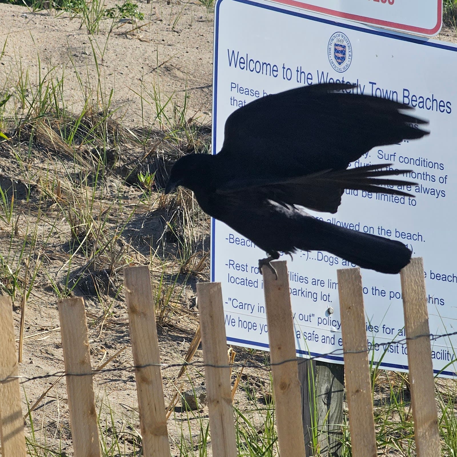 Wuskenau Town Beach - Image 1