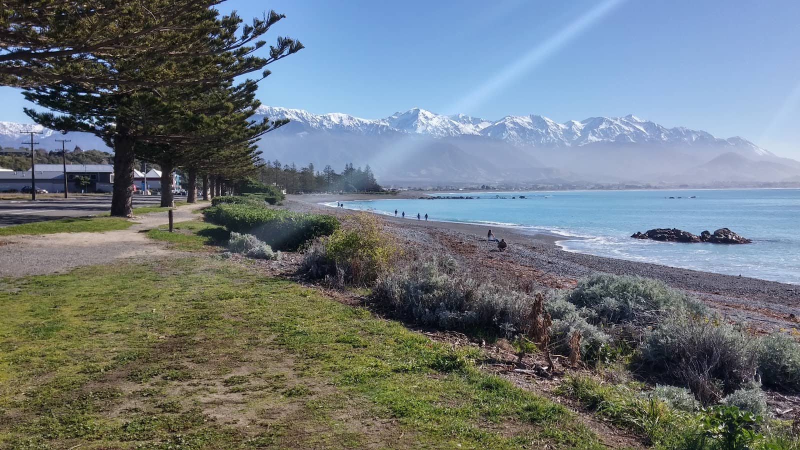 Coastal Pacific Train Journey