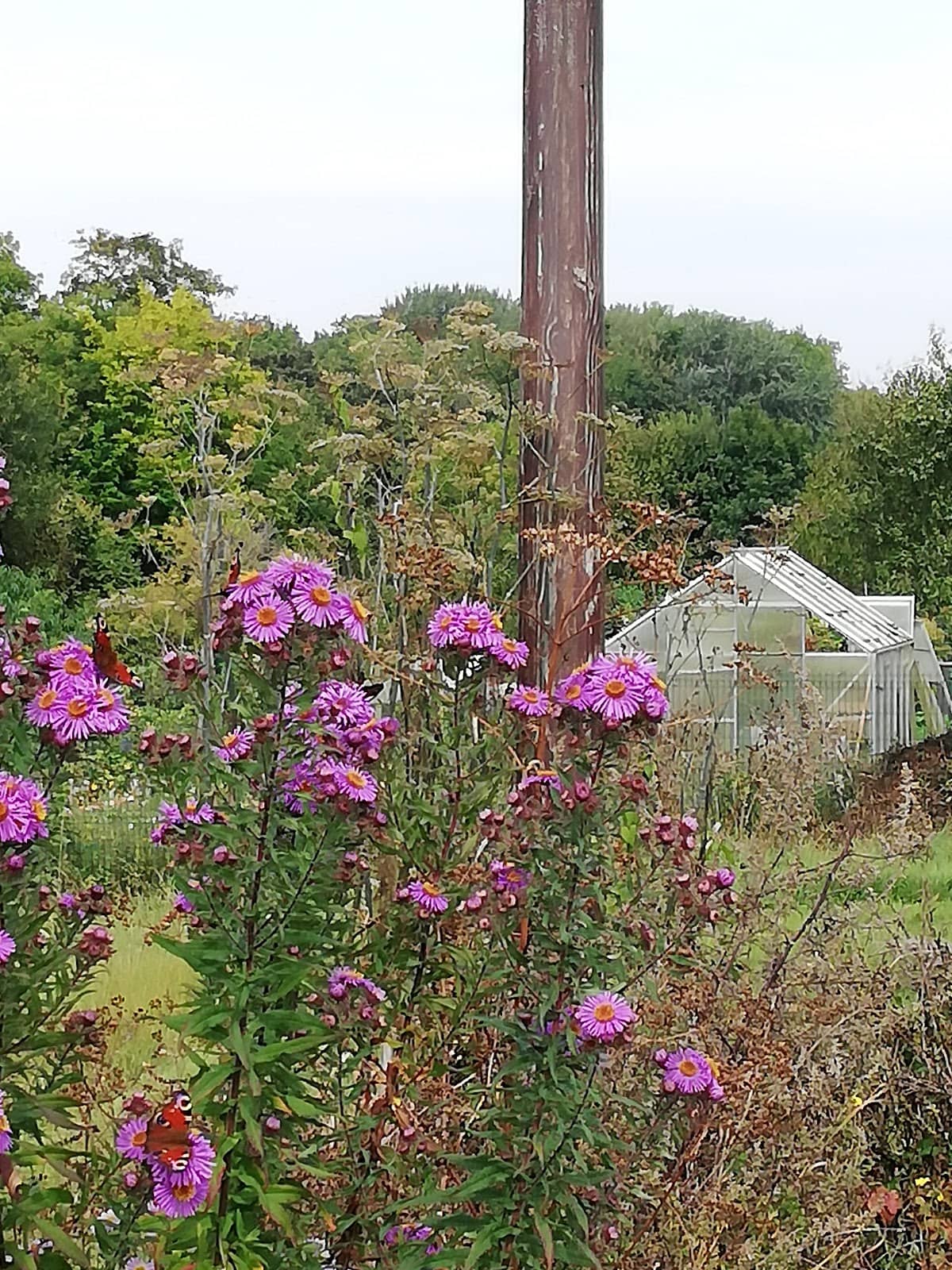 Workshops & Training