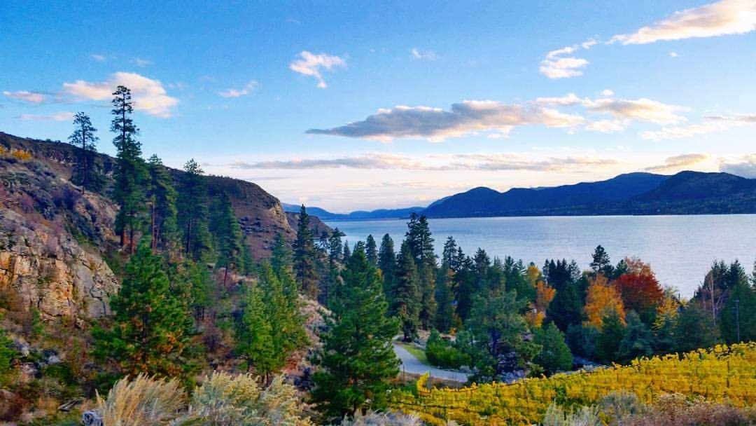 Naramata Village - Image 1