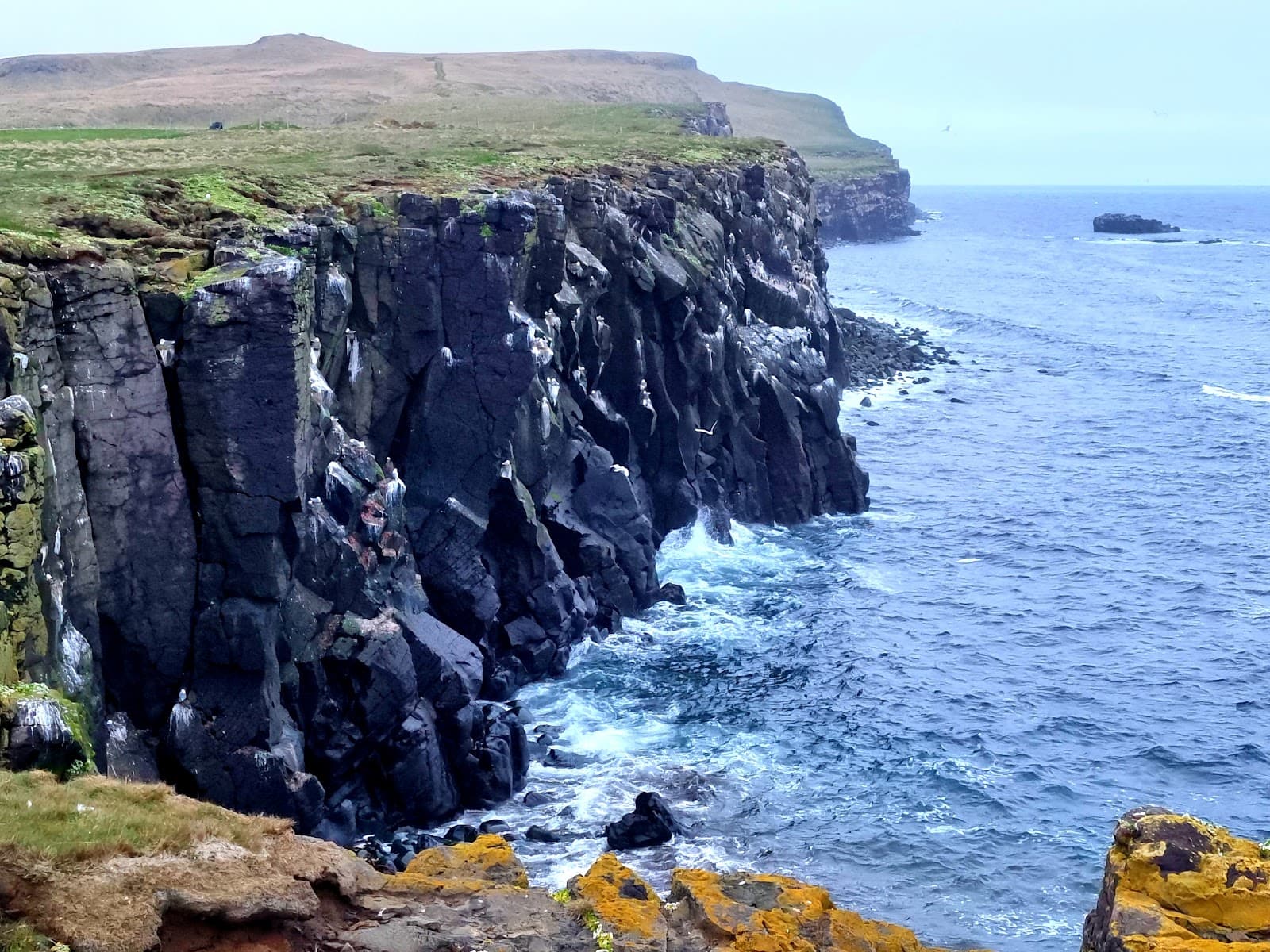 Grímsey Island - Image 1