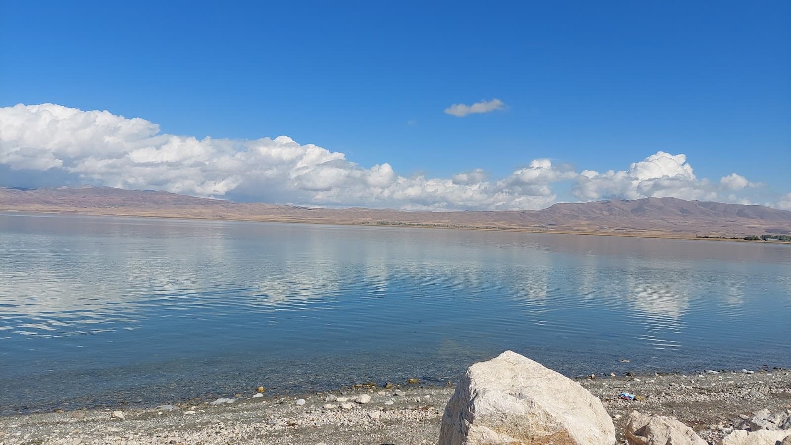 Erçek Lake Bird Sanctuary - Image 1