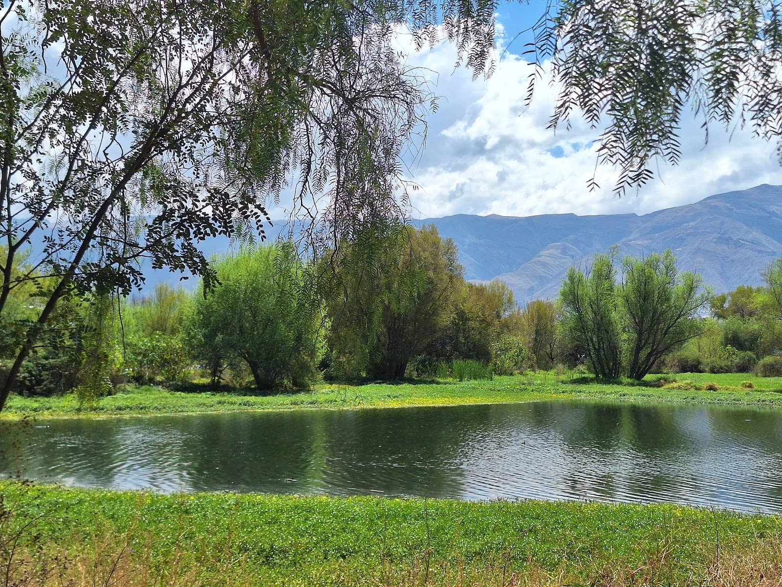 Jogging and Meditation Paths