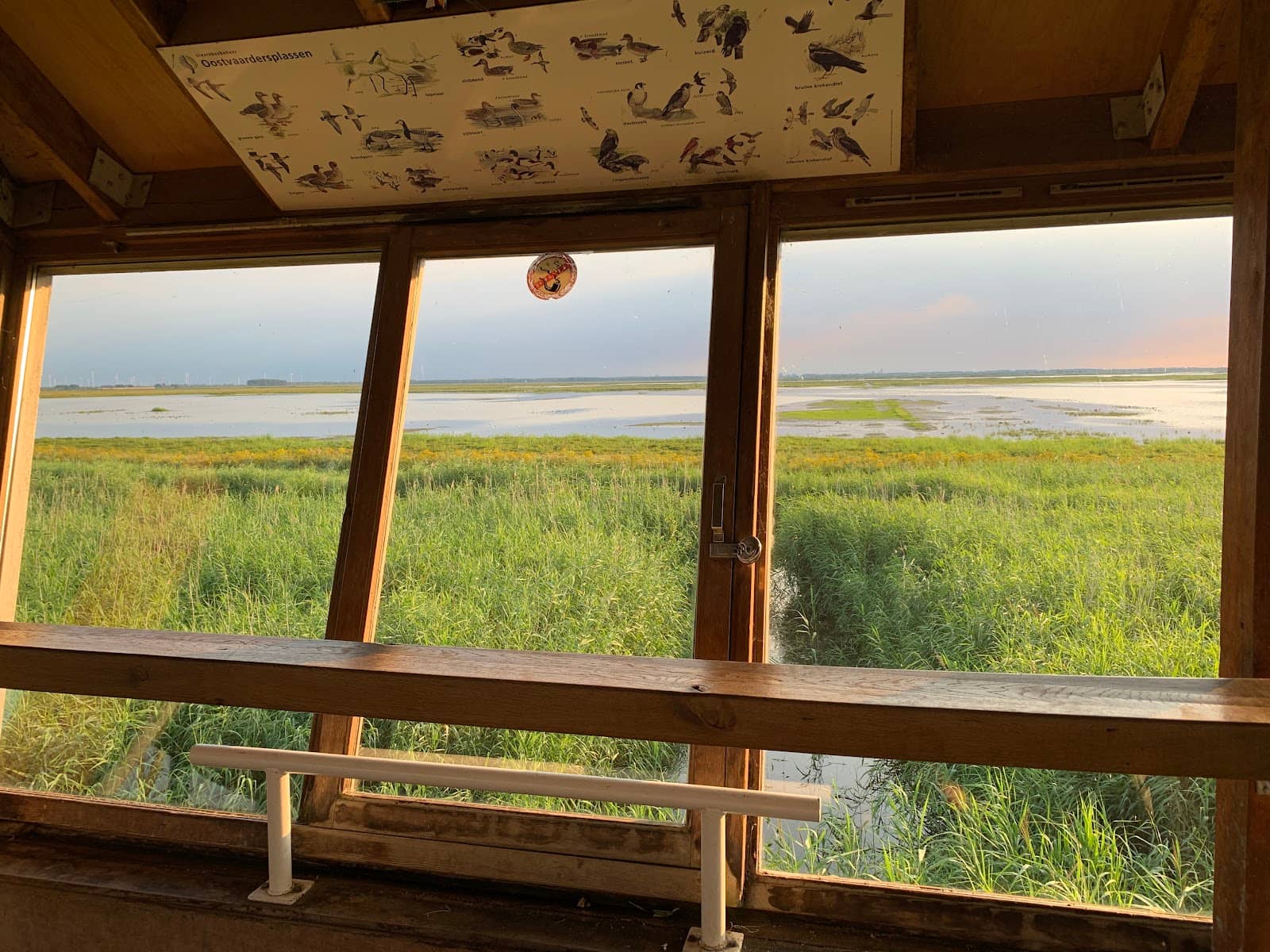 Wildlife Observation