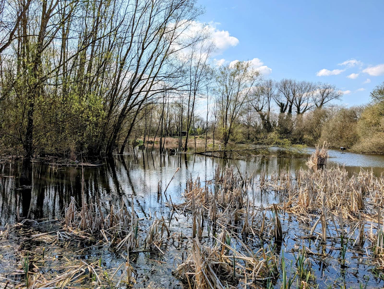 Tranquil Walking Trails