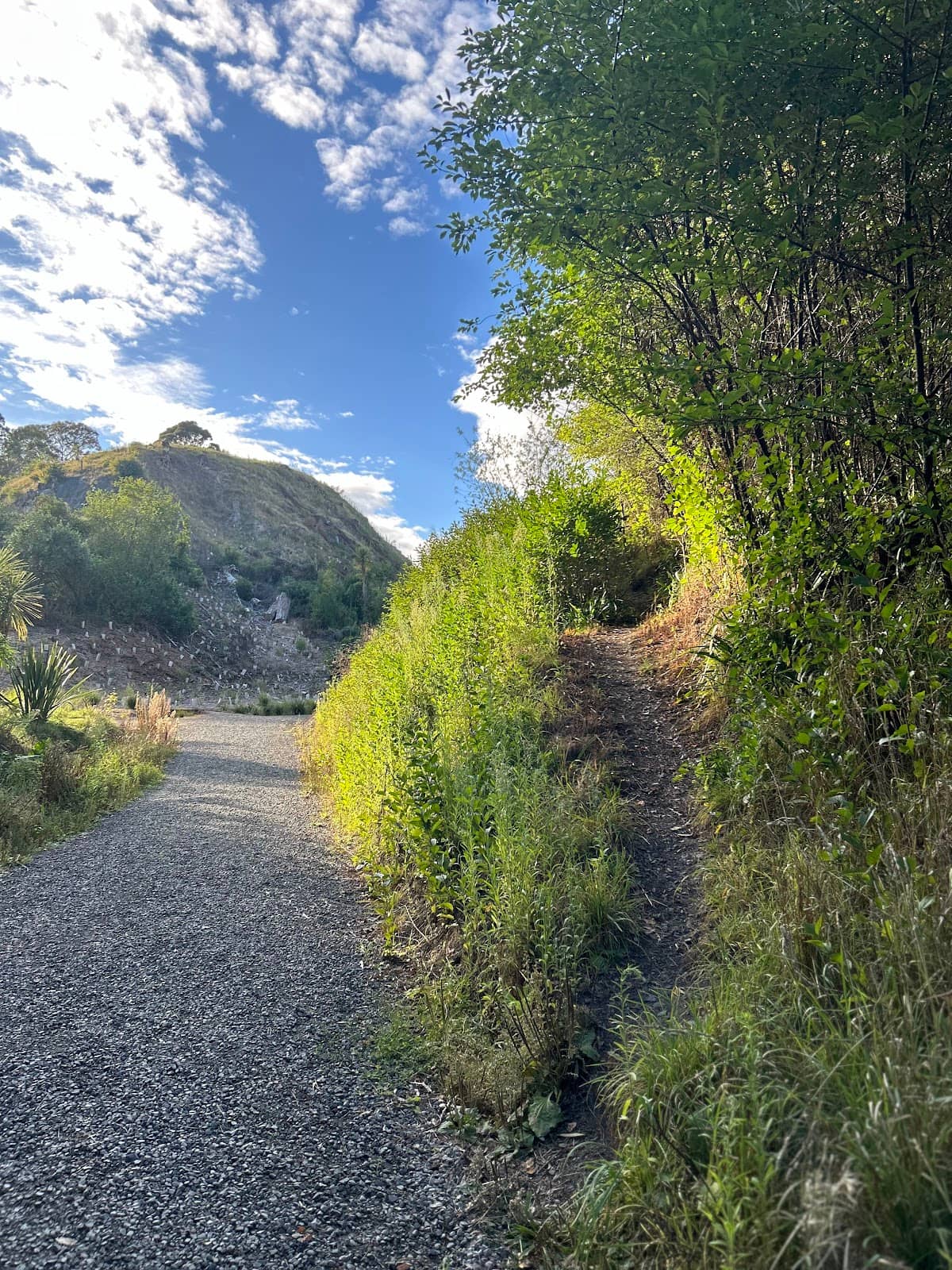 Vertical photo