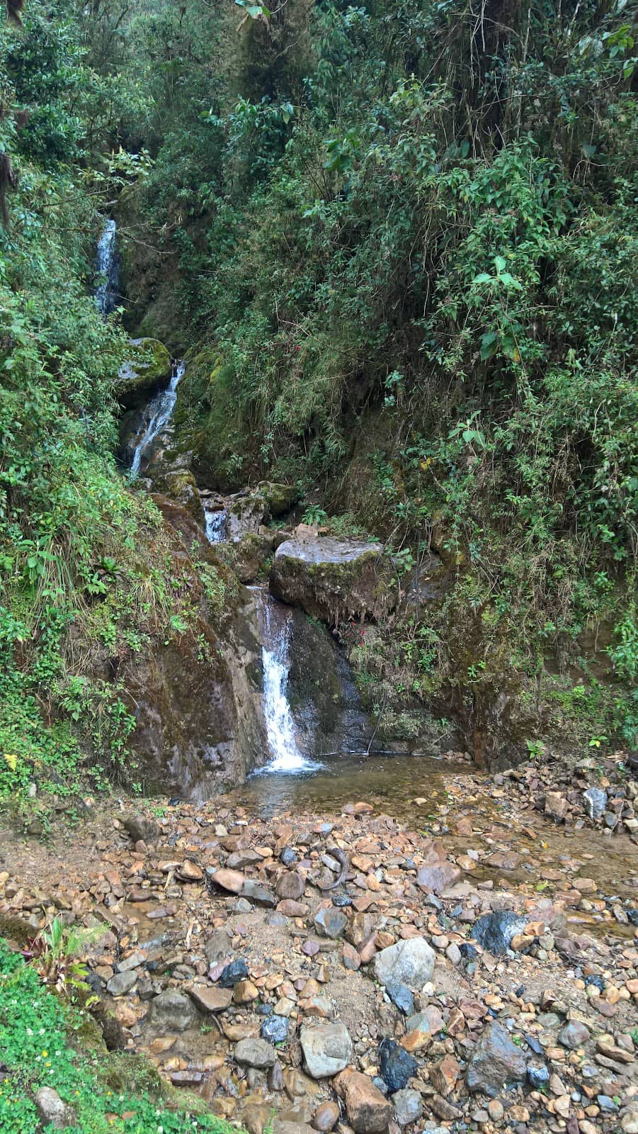 Vertical photo