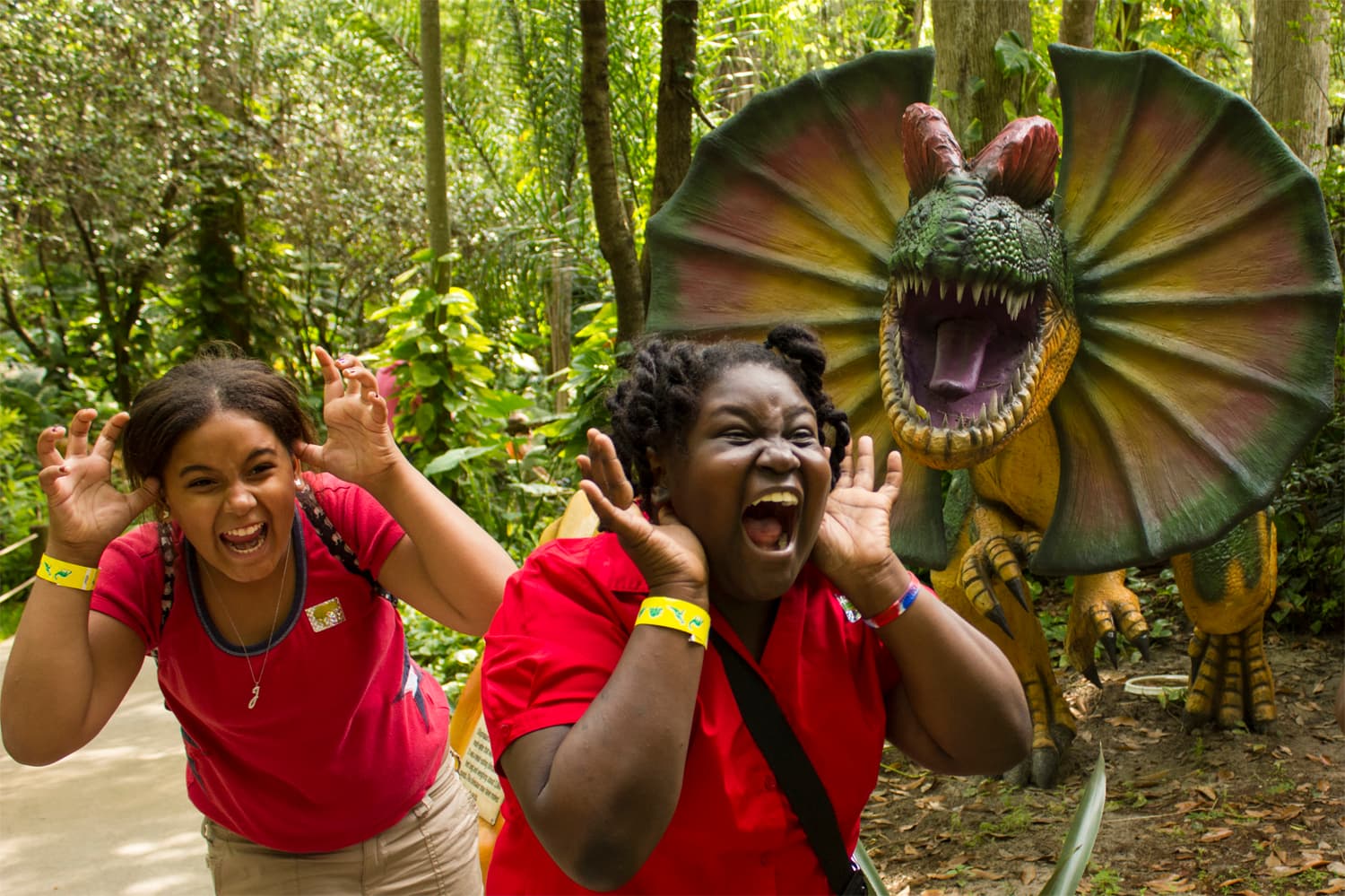 Dinosaur World Kentucky - Image 1