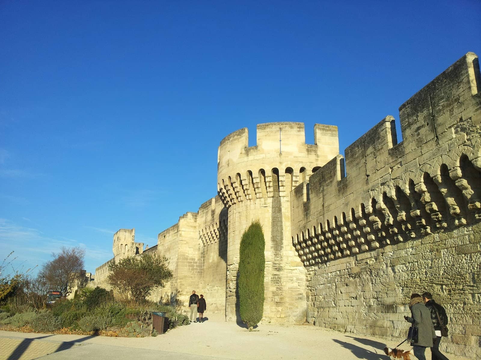 Views of Pont d'Avignon