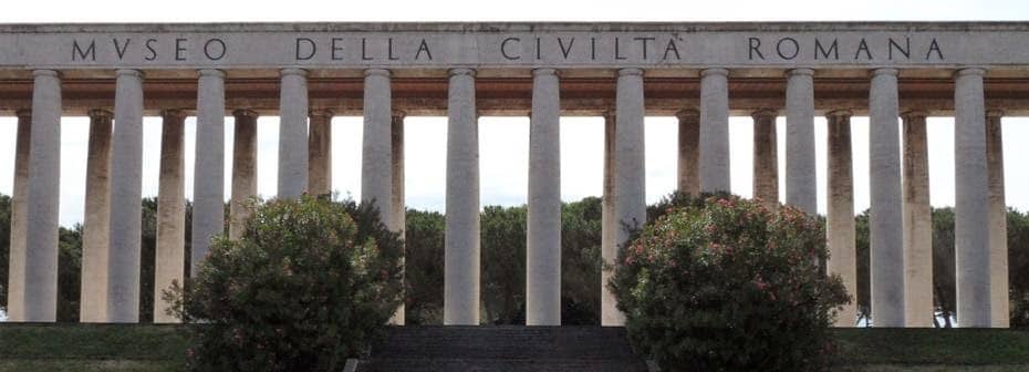 Human Evolution Display