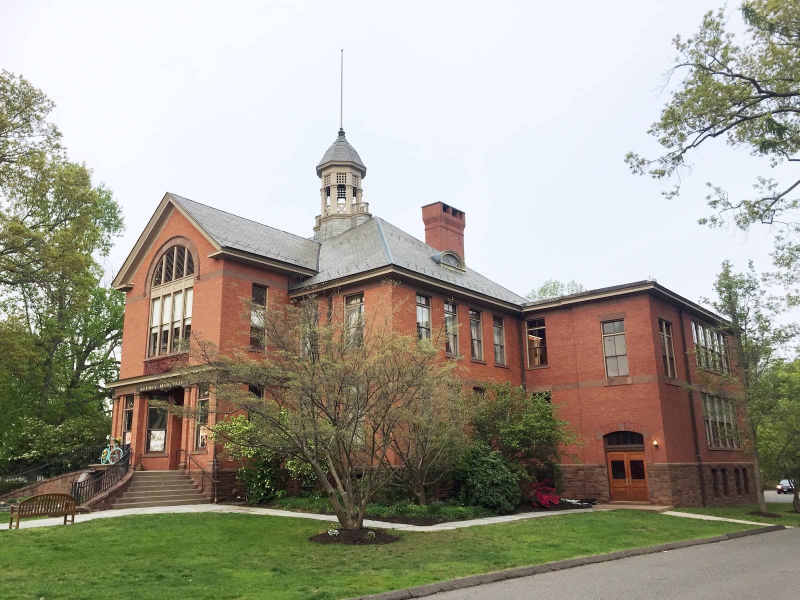 Holiday Tree Displays