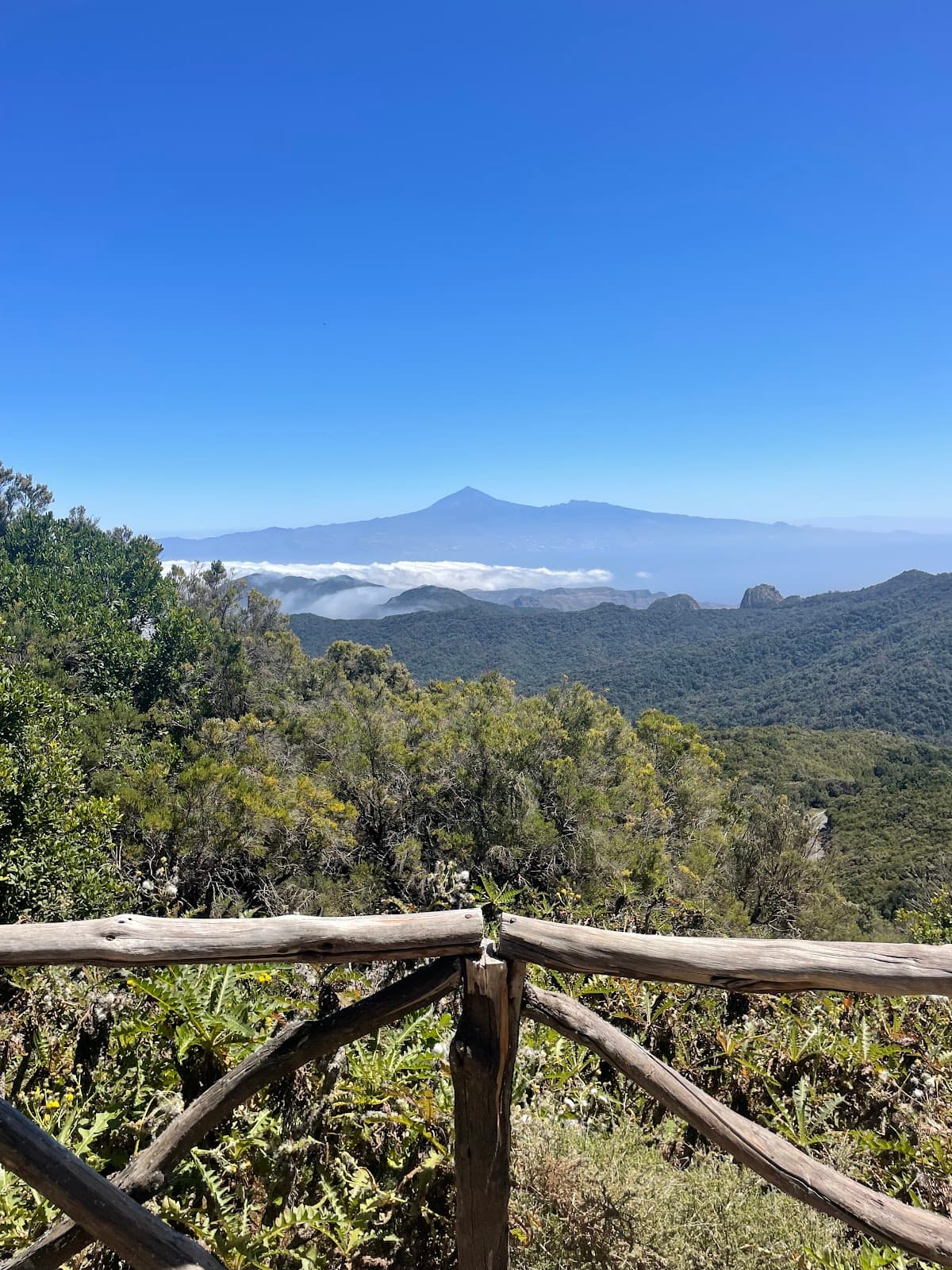 Alto de Garajonay - Image 1