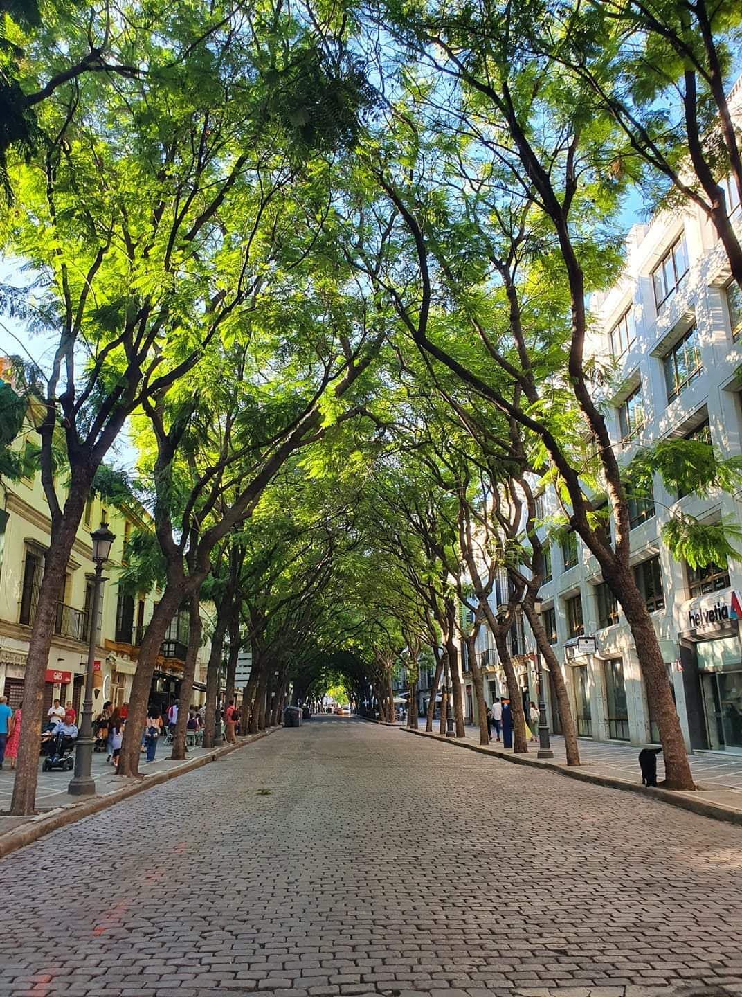 Calle Porvera - Image 1