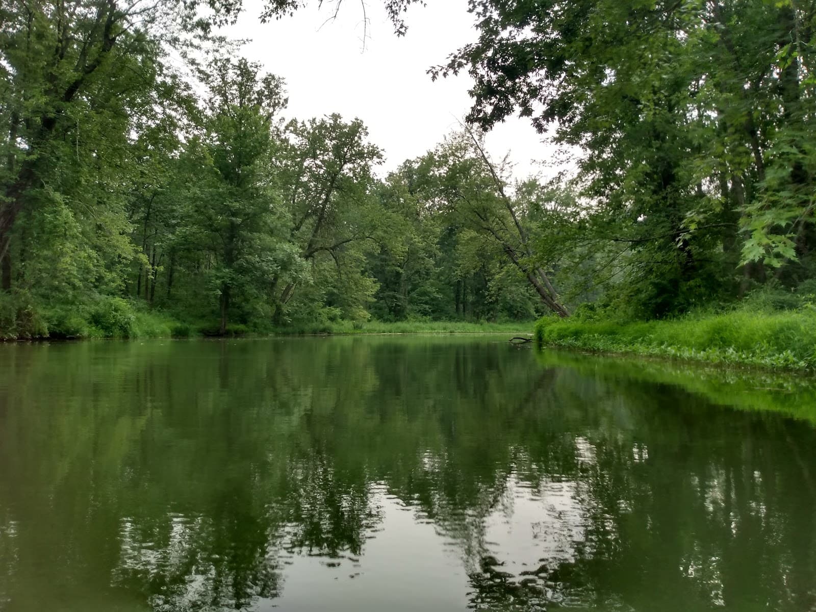Owasco Flats Nature Preserve - Image 1