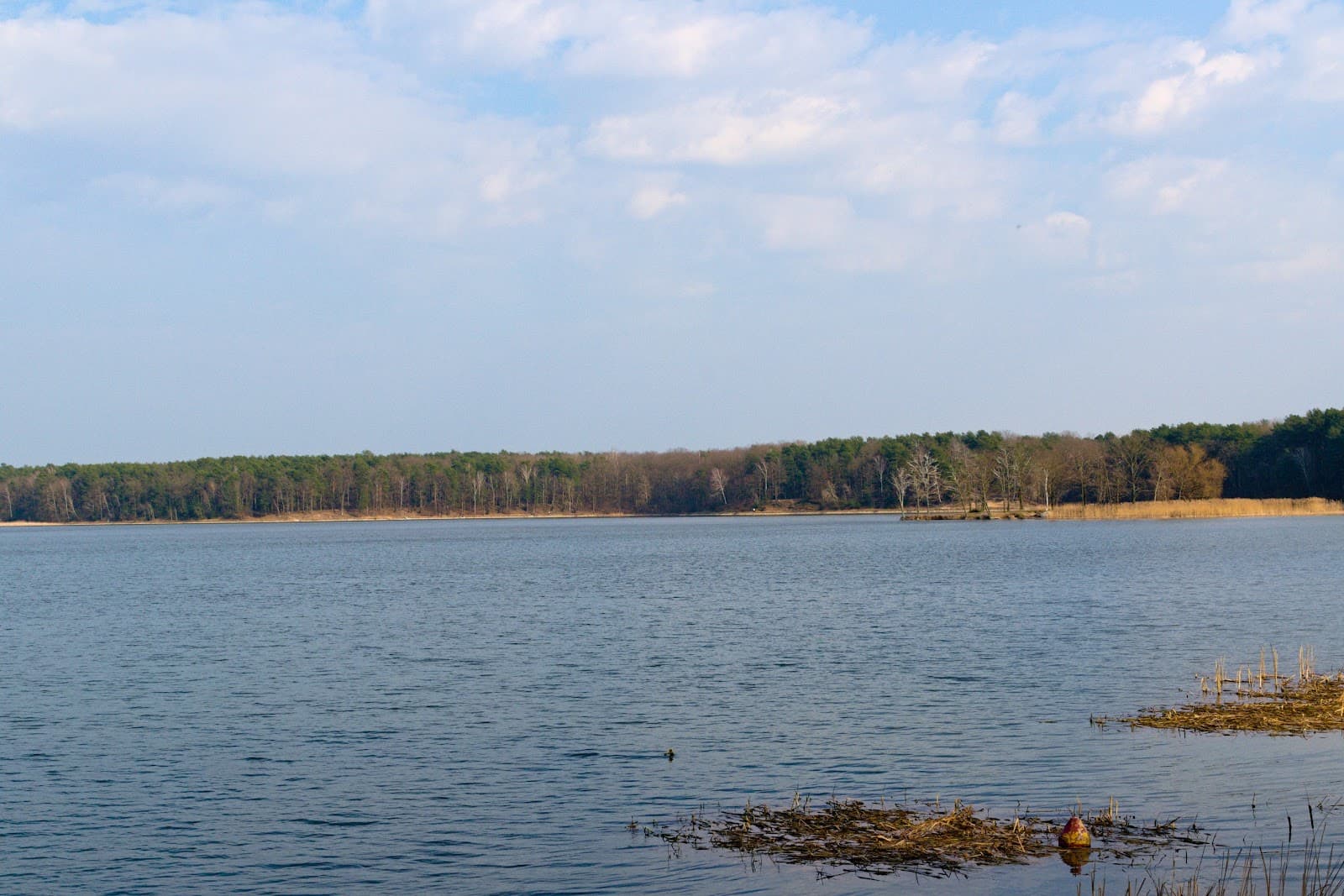 Lake Zemborzycki Lublin - Image 1