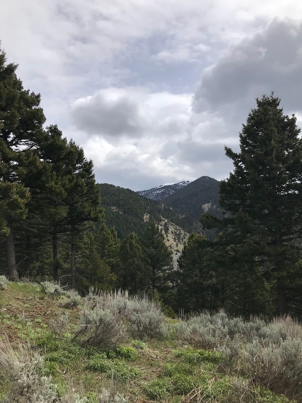 Sypes Canyon Trail - Image 1