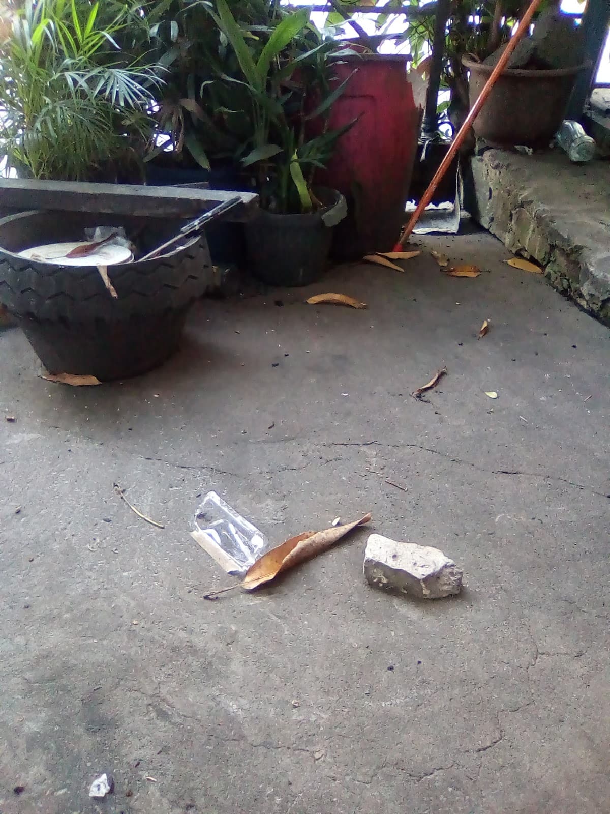 Diliman Quezon City - Image 1