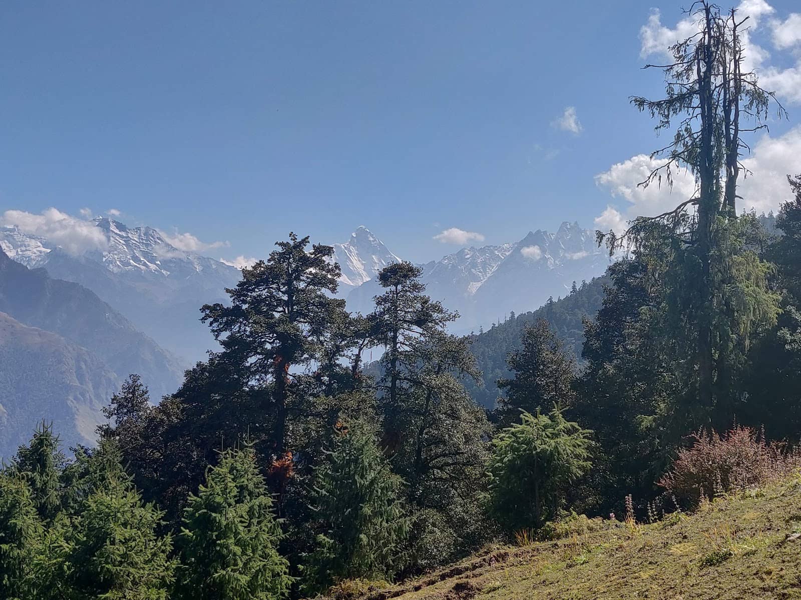 Auli Ropeway Ride