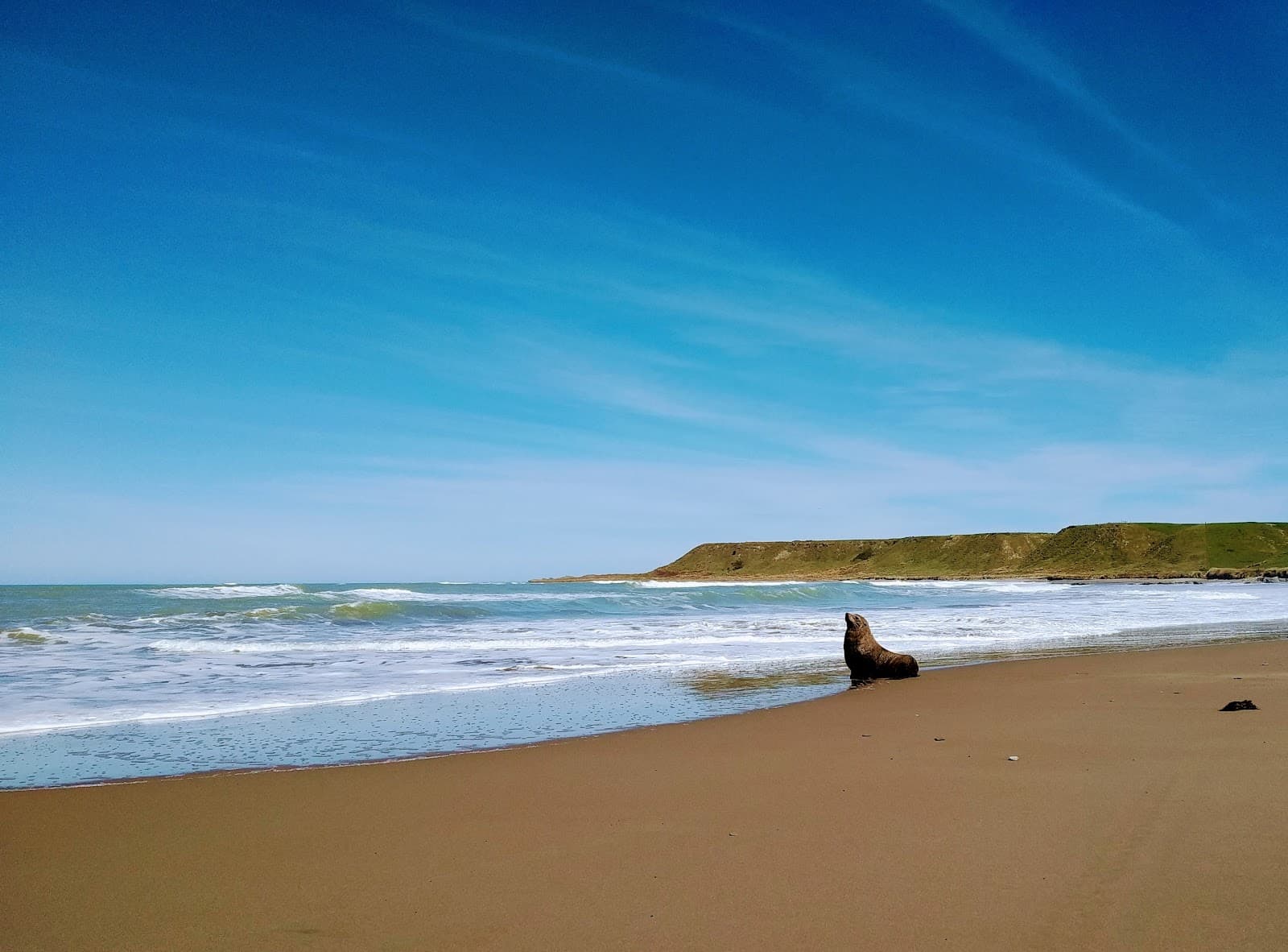 Riversdale Beach - Image 1