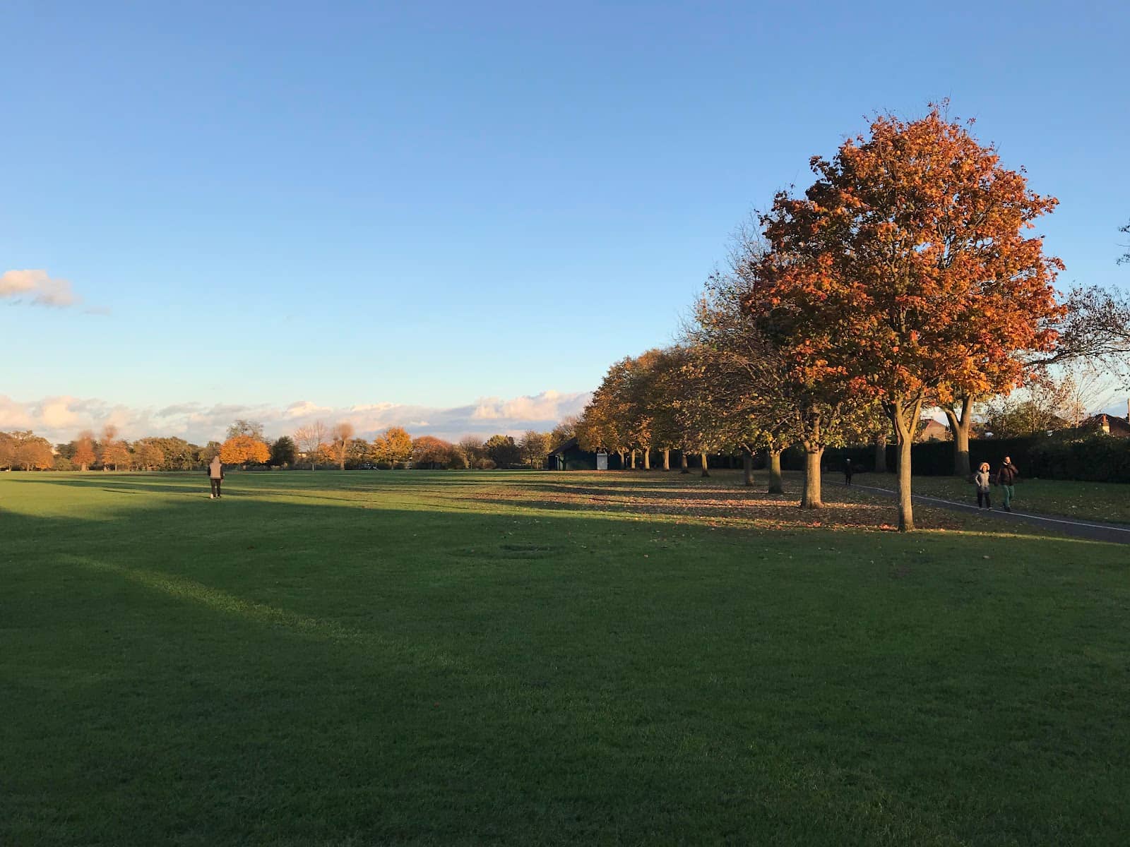 Cricket Ground