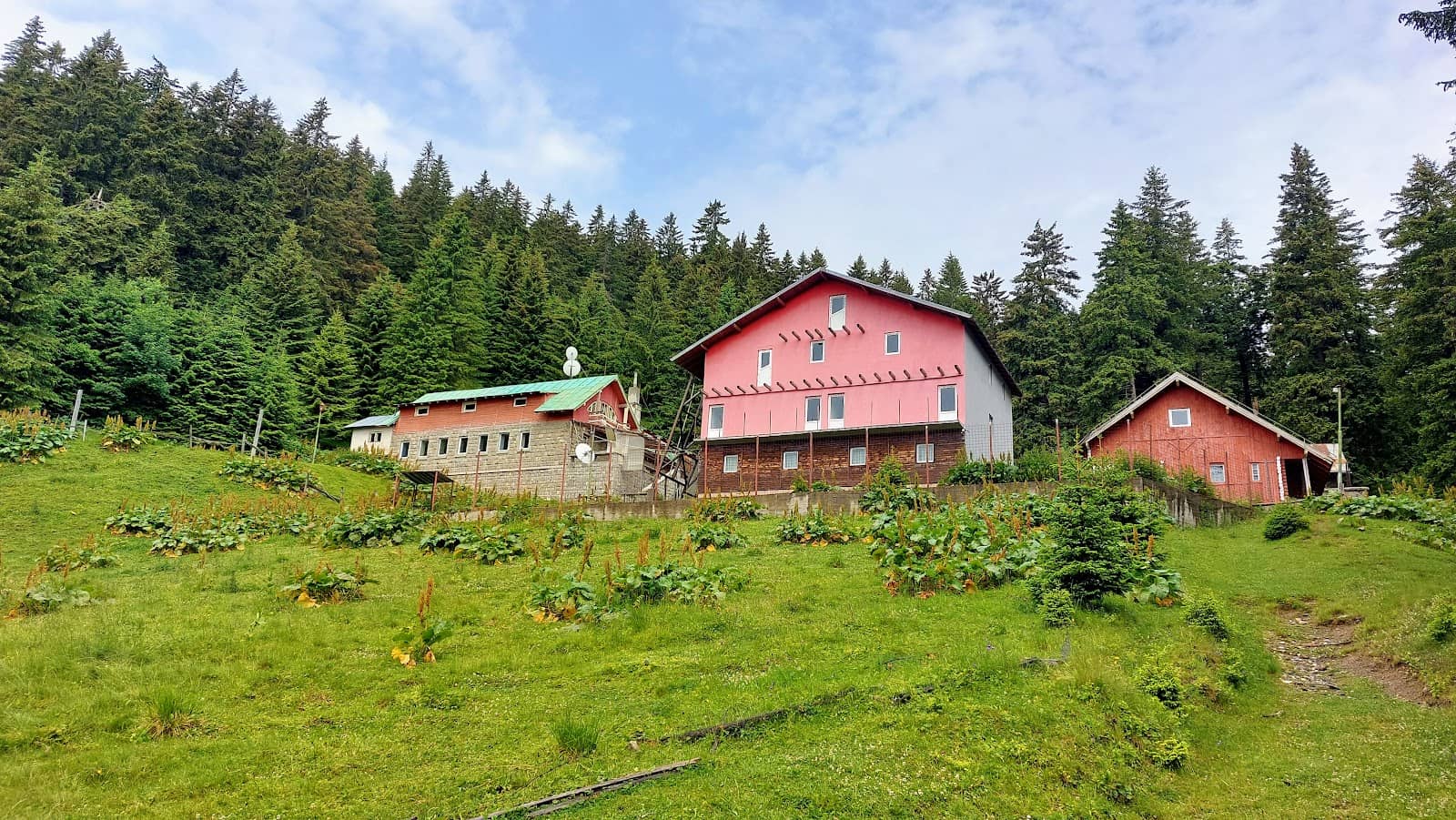 Winter Wonderland Escape