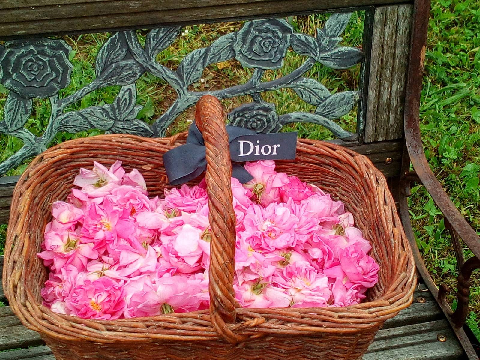 Sustainable Flower Farming