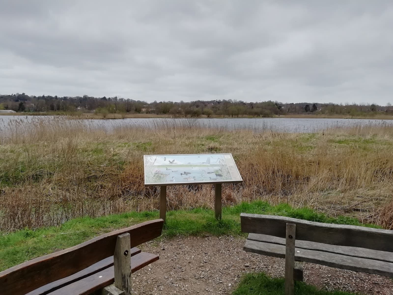 Thorpe Marshes - Image 1