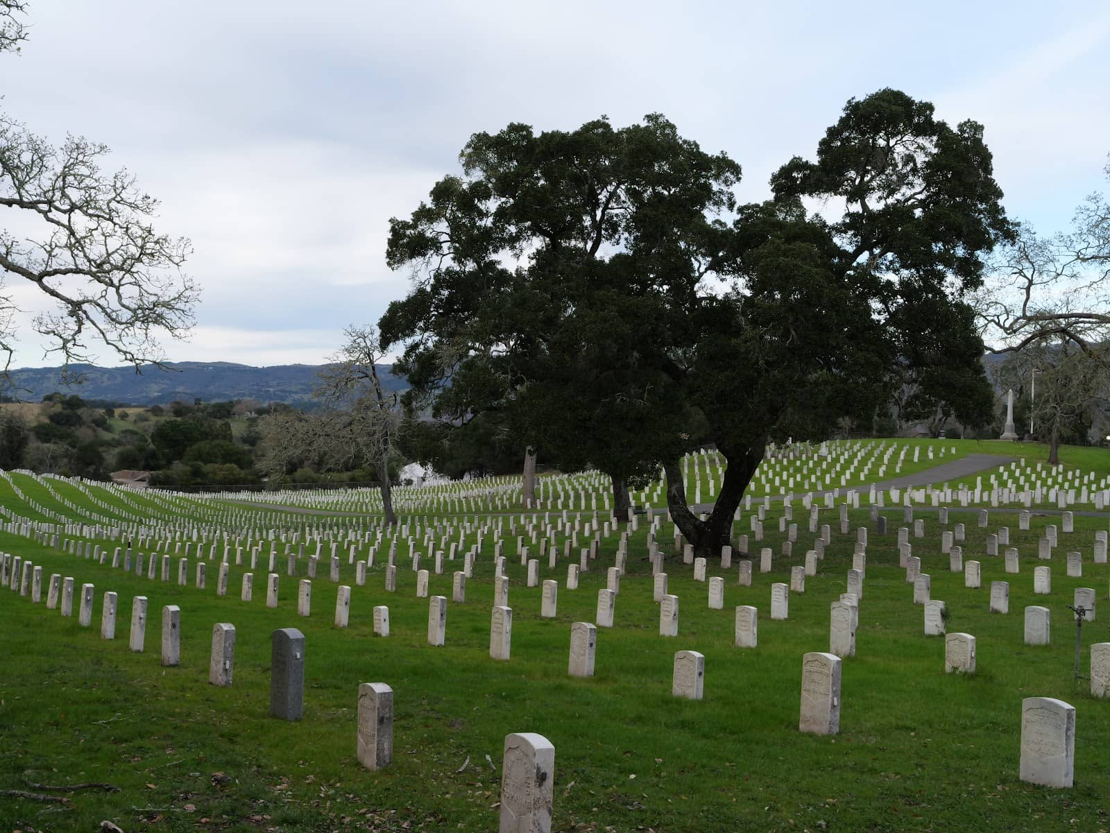 Sea of Headstones