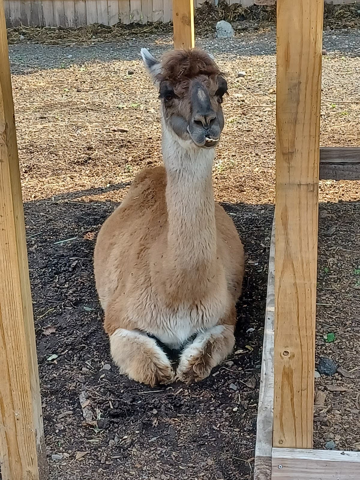 New Britain Youth Museum - Image 1