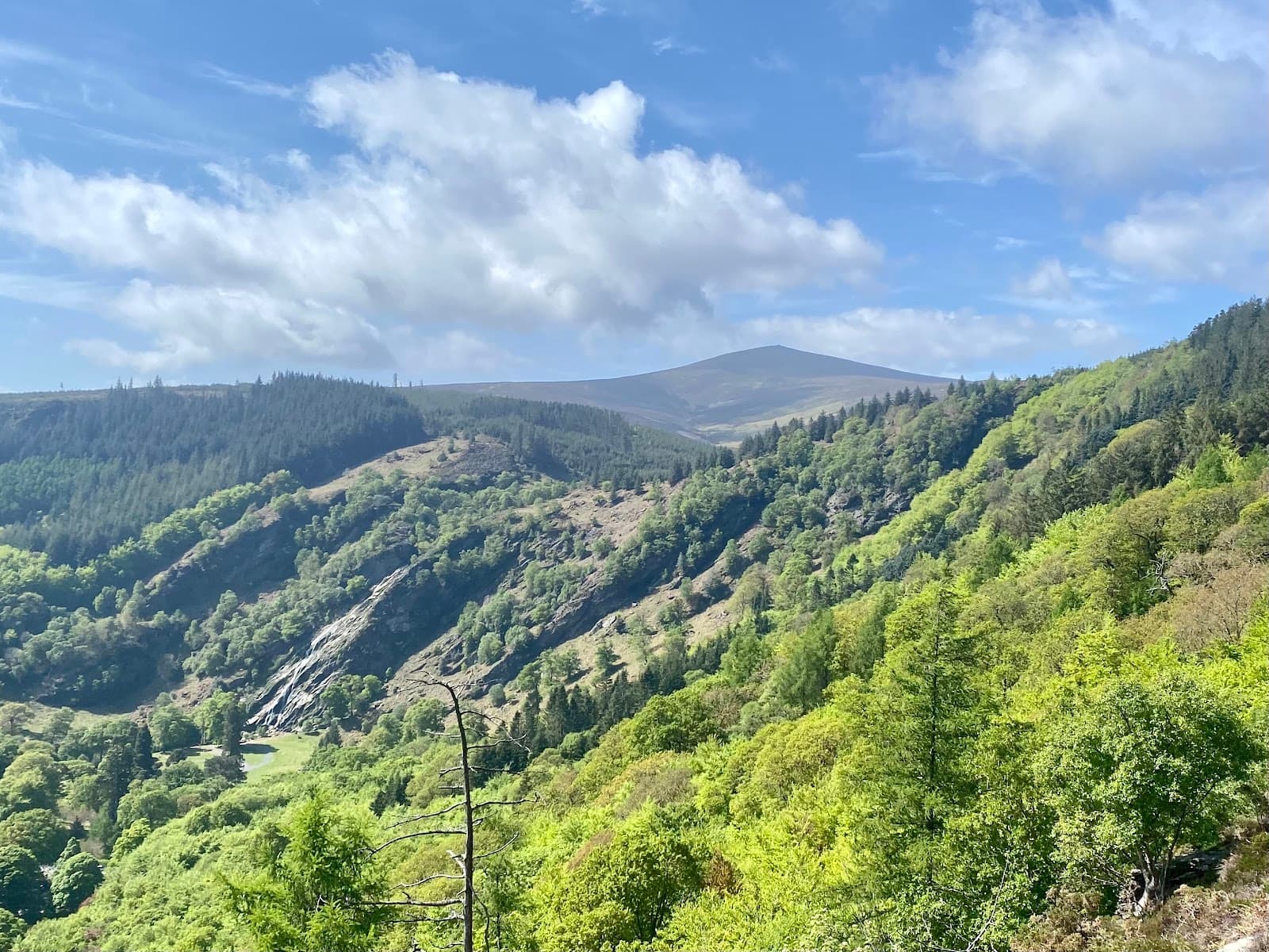 Crone Woods and Maulin - Image 1