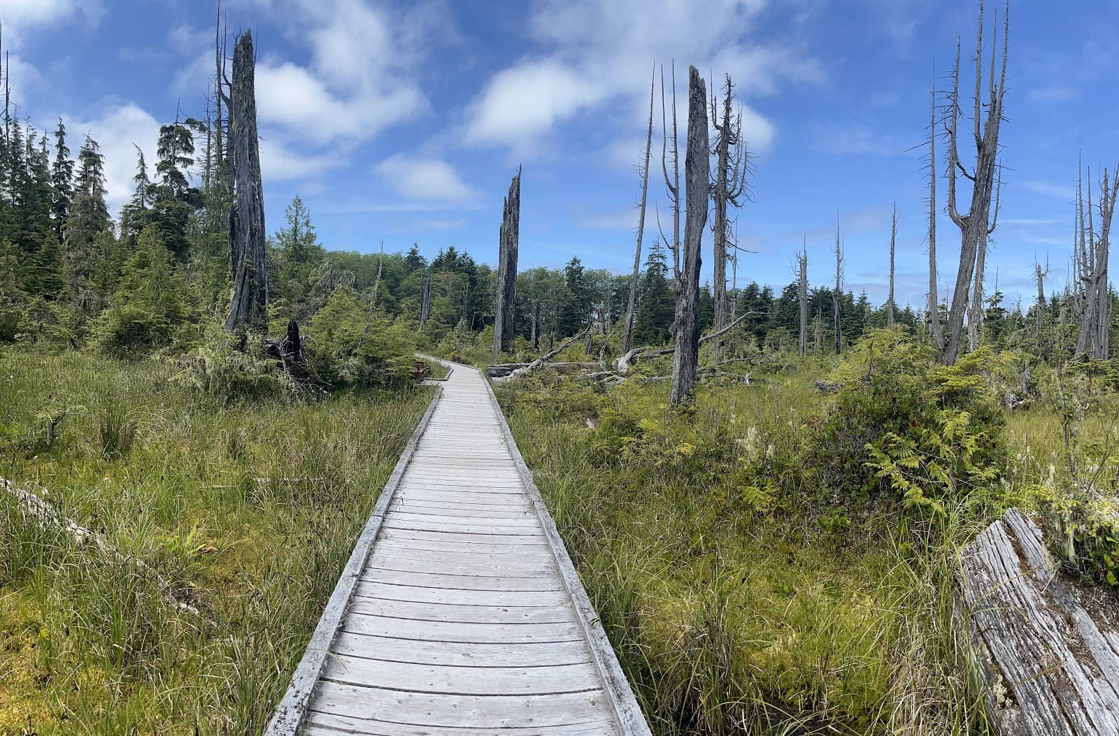 Coastal Beach Access