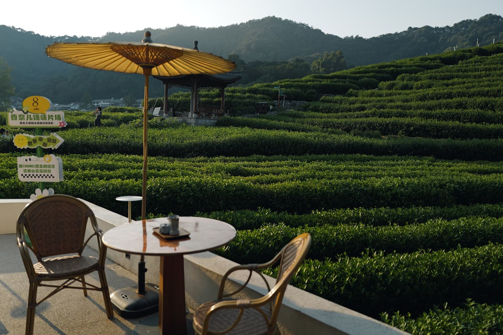 Longwu Tea Village - Image 1