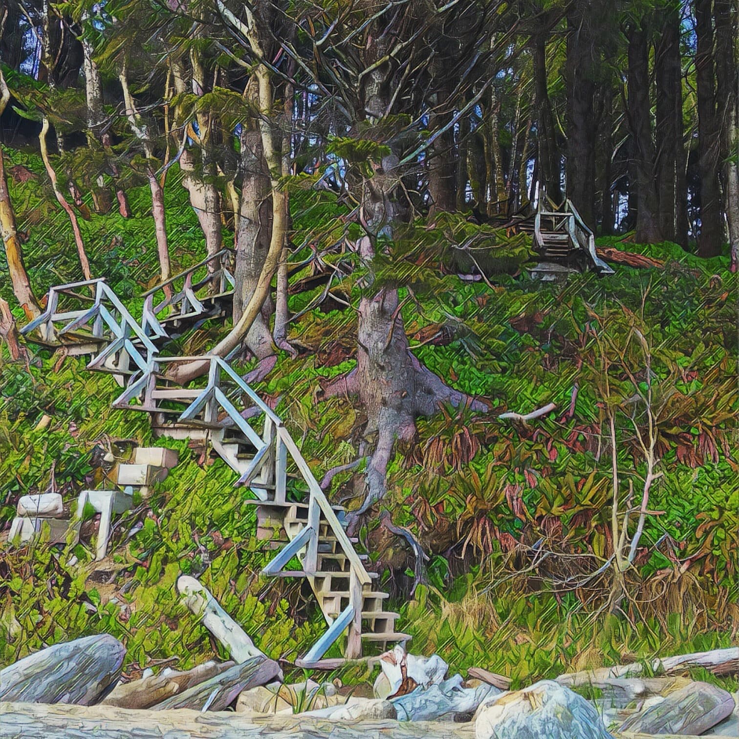 Nuu-chah-nulth Trail Vancouver Island - Image 1