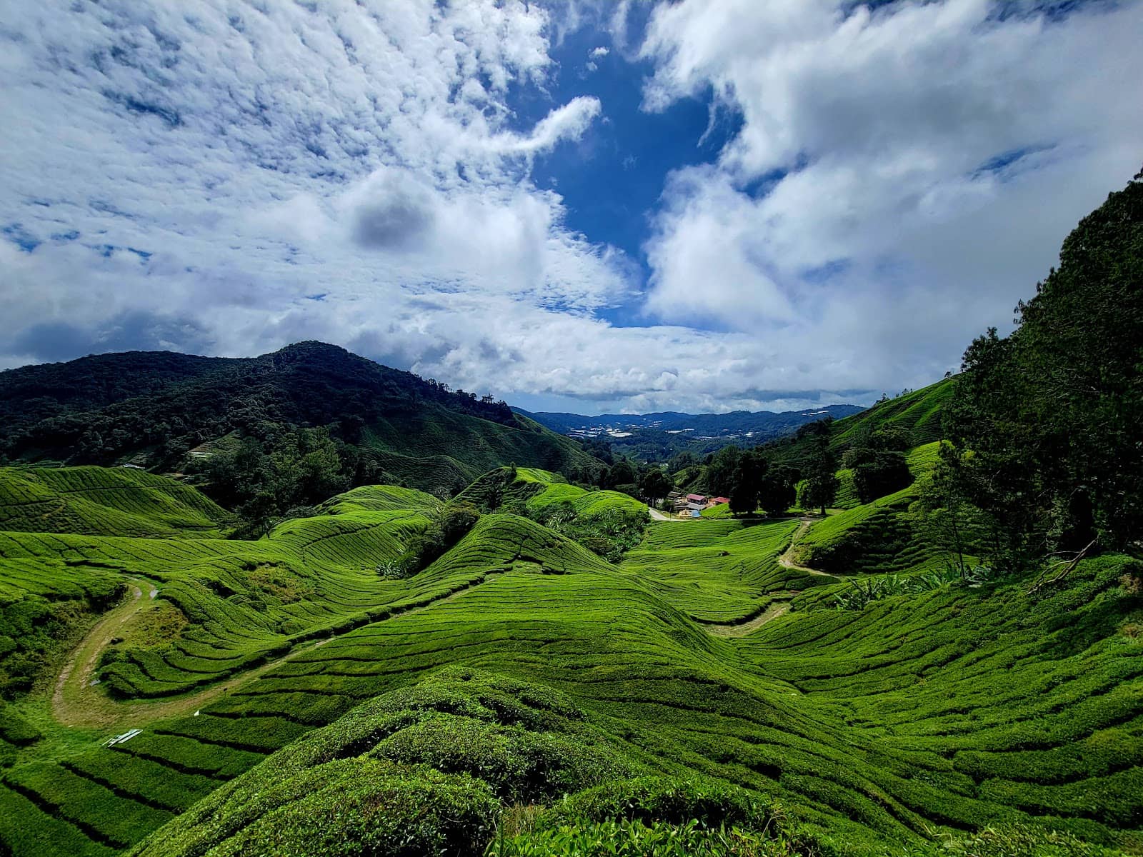 Plantation History Museum