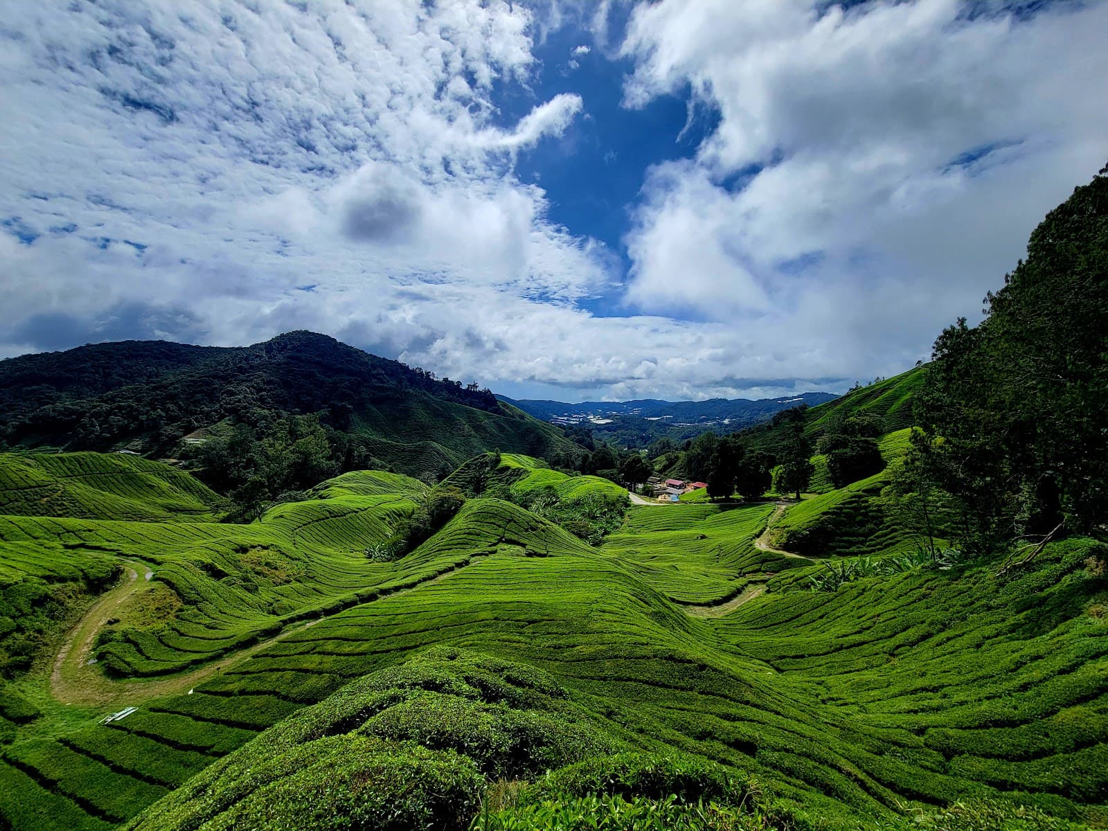 Blue Valley Reservoir Viewpoint - Image 1
