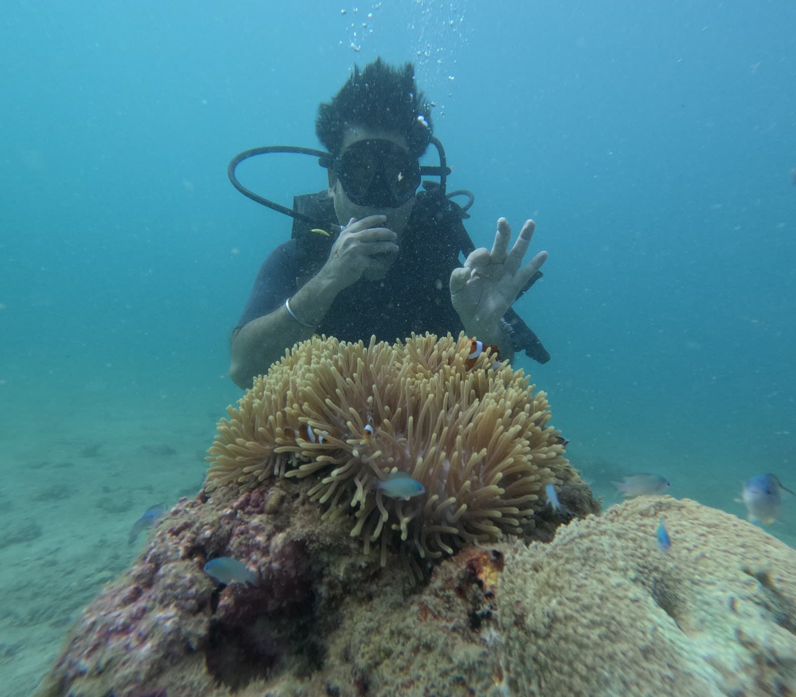 Nemo Reef Havelock Island - Image 1