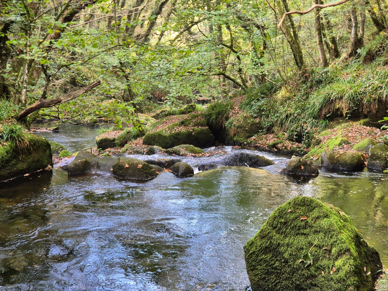 Golitha Falls Cornwall - Image 1
