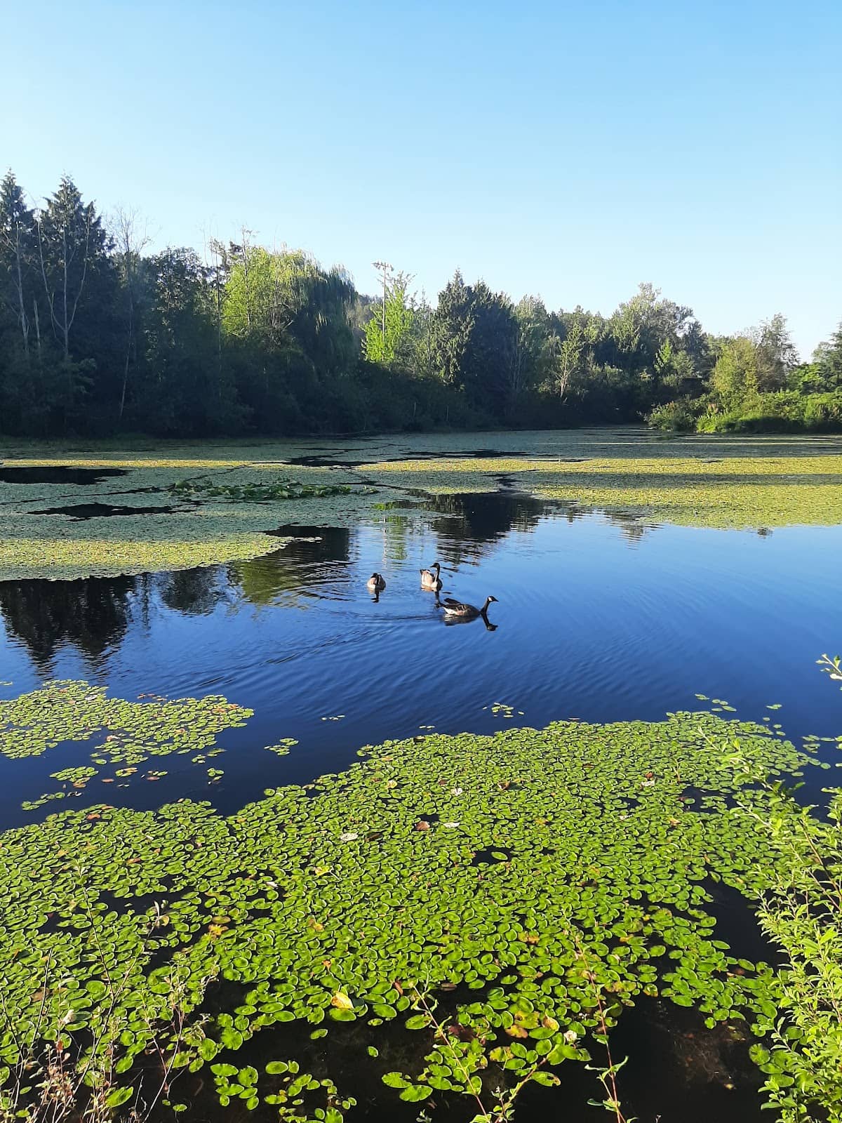 Native Plant Tours
