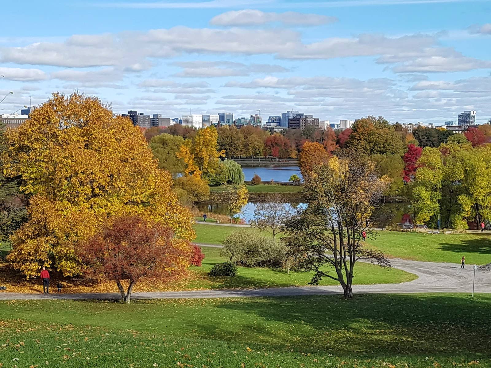 Dow's Lake Views