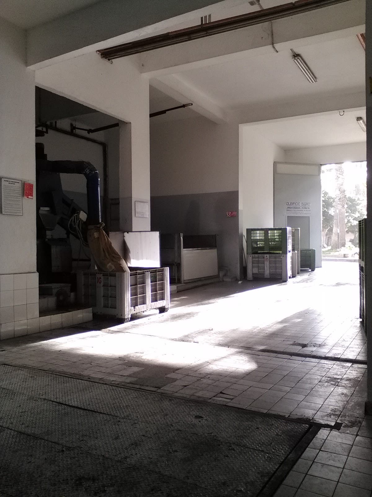 Nocellara del Belice Olive Route - Image 1