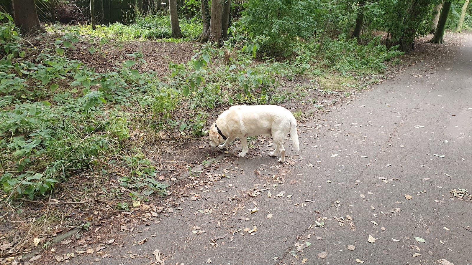 Green Drive Nature Reserve - Image 1