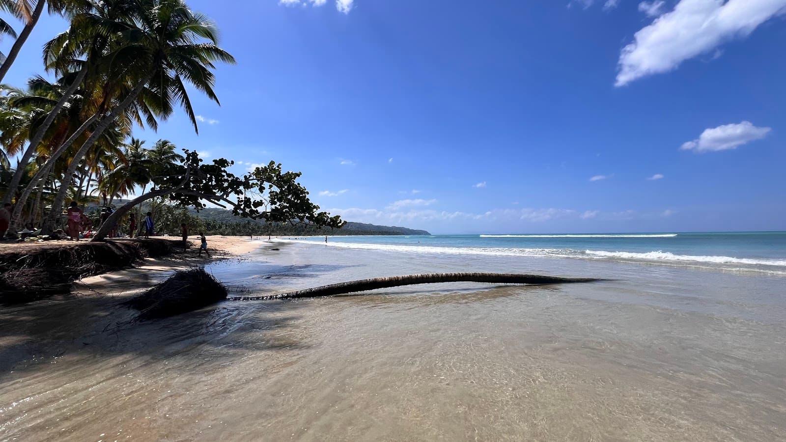 Cosón River Mouth - Image 1